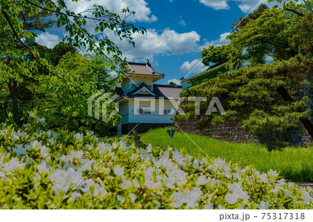 新緑の大手門脇櫓（仙台城）土塀 75317318