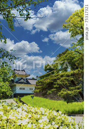 新緑の大手門脇櫓(仙台城)土塀 新緑の大手門脇櫓(仙台城)土塀 75317321
