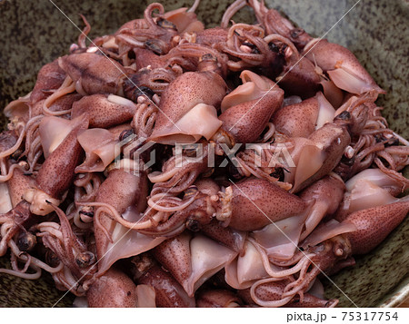 茹でたホタルイカ 茹でたホタルイカ 75317754