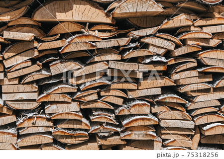 birch wood piled in a woodpile birch wood piled in a woodpile 75318256
