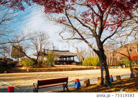 Jukseoru Pavilion at autumn in Samcheok, Korea 75319383