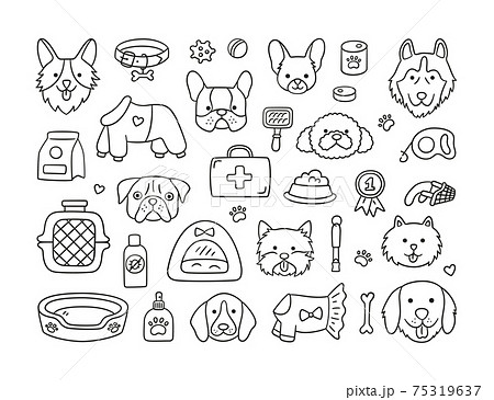 Set of heads of different breeds dogs and canine accessories. Collar, leash, muzzle, carrier, food, clothing. Set of heads of different breeds dogs and canine accessories. Collar, leash, muzzle, carrier, food, clothing. 75319637