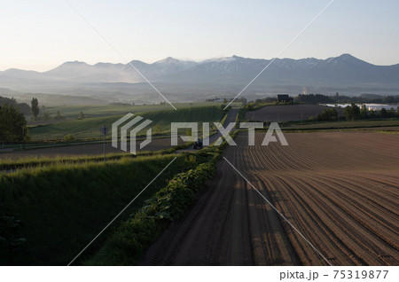 夏の上富良野町と十勝岳連峰の風景 75319877