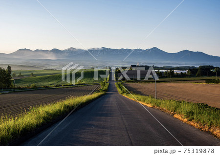 夏の上富良野町と十勝岳連峰の風景 夏の上富良野町と十勝岳連峰の風景 75319878