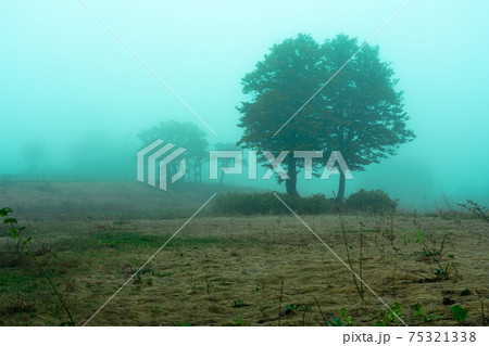 霧に包まれる高原 75321338