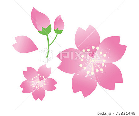 桜の花びら イラストのイラスト素材