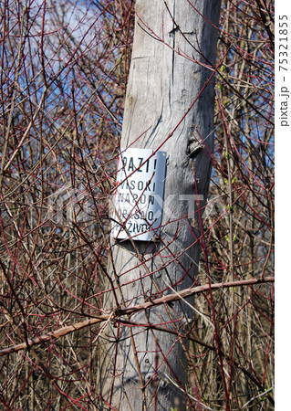 Springtime beginning at surroundings of Zagreb, Croatia 75321855
