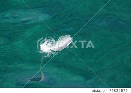 カモメの羽根 カモメの羽根 75322675