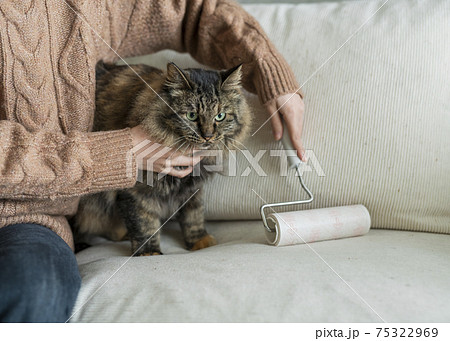部屋の掃除をする女性 75322969