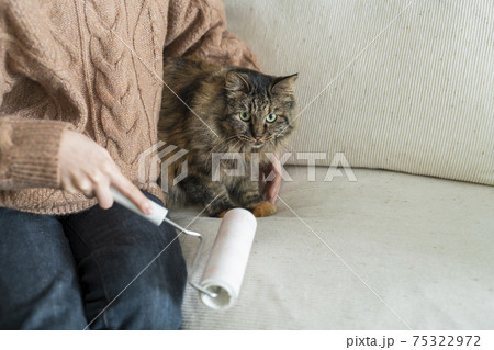 部屋の掃除をする女性 部屋の掃除をする女性 75322972