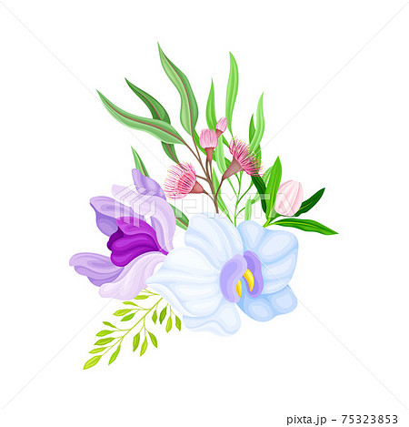 Tender Orchid Flower Arranged with Flowering Stems and Twigs Vector Illustration 75323853