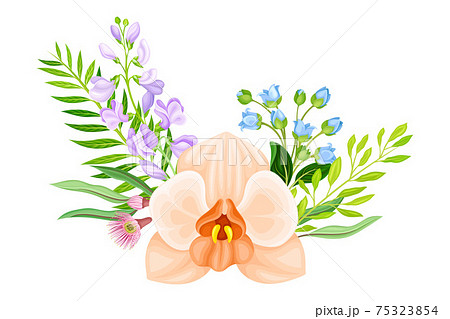 Tender Orchid Bloom Arranged with Flowering Stems and Twigs Vector Illustration 75323854