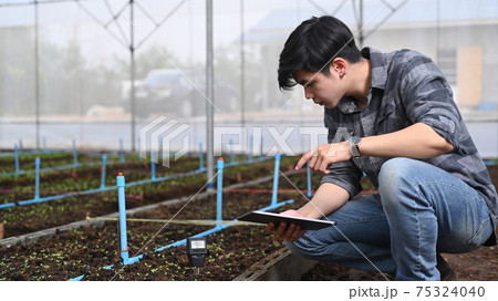 Smart farmer man using digital tablet tablet examining the growth of plants in the greenhouse. Smart farmer man using digital tablet tablet examining the growth of plants in the greenhouse. 75324040