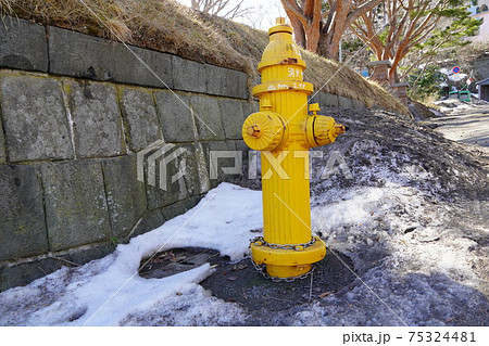 函館市の消火栓・晩冬 函館市の消火栓・晩冬 75324481