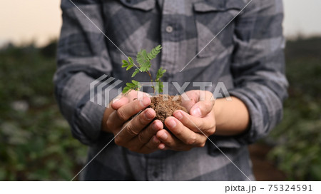 Close up view of young farmer holding a green young plant. Close up view of young farmer holding a green young plant. 75324591