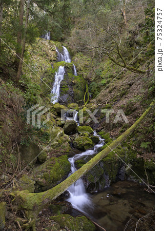 桐野小滝（兵庫県豊岡市出石町） 75324757