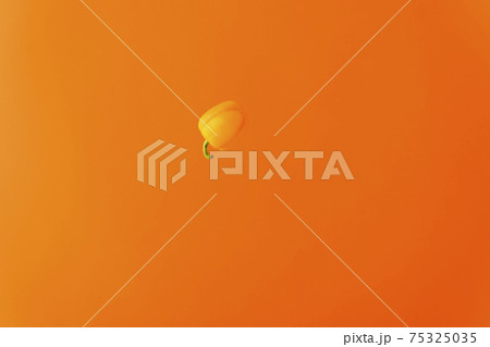 宙を舞うパプリカ 宙を舞うパプリカ 75325035