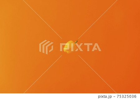 宙を舞うパプリカ 宙を舞うパプリカ 75325036