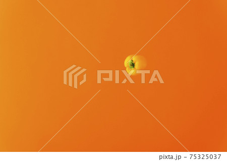 宙を舞うパプリカ 75325037