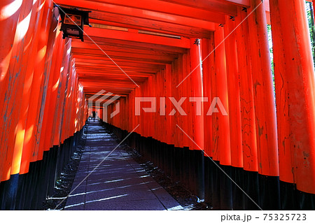 【京都府】伏見稲荷大社 千本鳥居 75325723