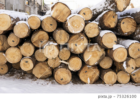 A pile of logs on a sawmill under the layer of snow in the winter season. A pile of logs on a sawmill under the layer of snow in the winter season. 75326100