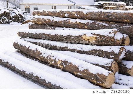 A pile of logs on a sawmill under the layer of snow in the winter season. 75326180