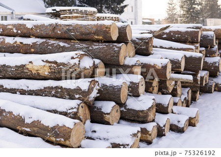 A pile of logs on a sawmill under the layer of snow in the winter season. A pile of logs on a sawmill under the layer of snow in the winter season. 75326192
