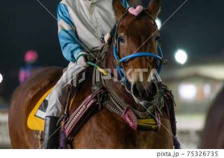 北海道遺産 ばんえい競馬 北海道遺産 ばんえい競馬 75326735
