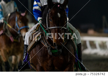 北海道遺産 ばんえい競馬 北海道遺産 ばんえい競馬 75326742