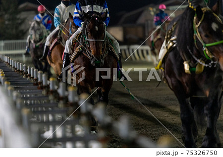 北海道遺産 ばんえい競馬 北海道遺産 ばんえい競馬 75326750