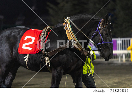 北海道遺産　ばんえい競馬 75326812