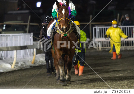 北海道遺産 ばんえい競馬 北海道遺産 ばんえい競馬 75326818