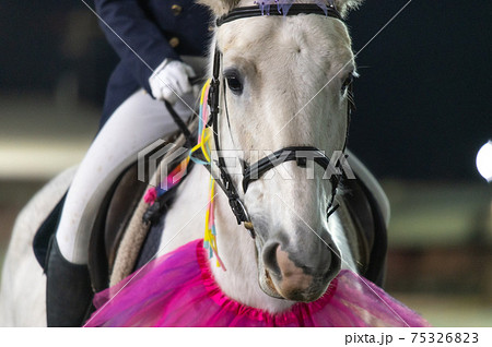 北海道遺産　ばんえい競馬 75326823