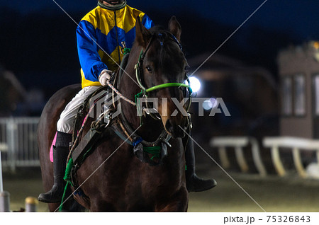北海道遺産　ばんえい競馬 75326843