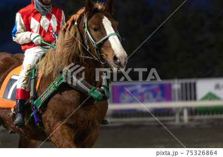 北海道遺産　ばんえい競馬 75326864