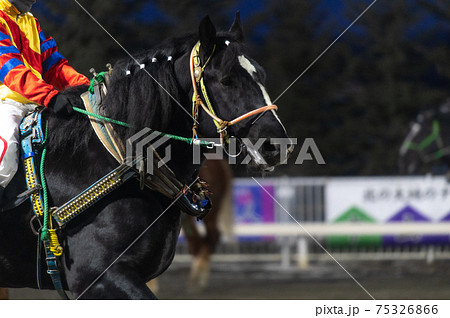 北海道遺産　ばんえい競馬 75326866