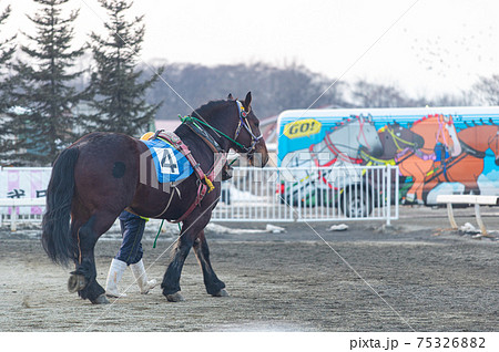 北海道遺産 ばんえい競馬 北海道遺産 ばんえい競馬 75326882