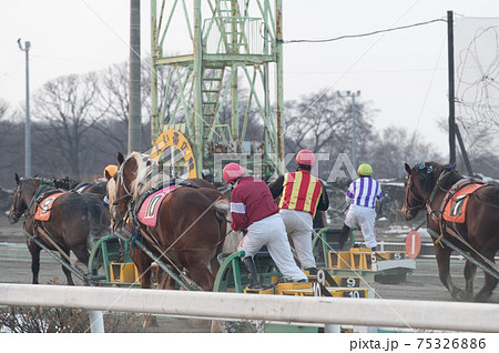 北海道遺産 ばんえい競馬 北海道遺産 ばんえい競馬 75326886