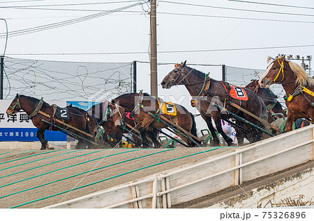 北海道遺産　ばんえい競馬 75326896