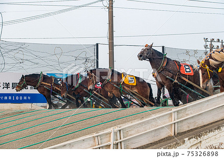 北海道遺産　ばんえい競馬 75326898