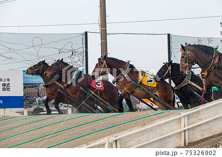 北海道遺産　ばんえい競馬 75326902