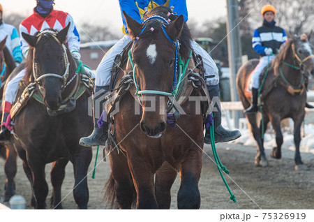 北海道遺産　ばんえい競馬 75326919