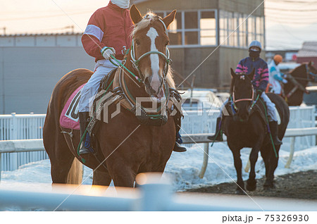 北海道遺産 ばんえい競馬 北海道遺産 ばんえい競馬 75326930