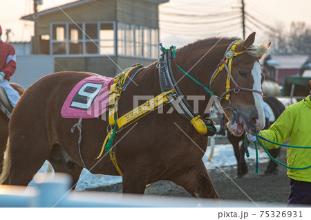 北海道遺産　ばんえい競馬 75326931