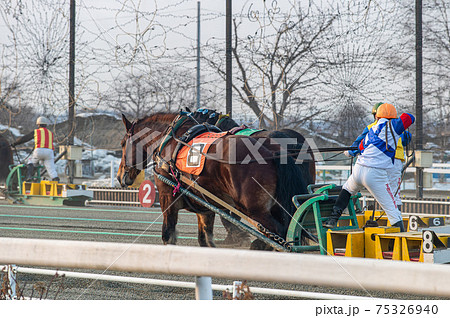 北海道遺産 ばんえい競馬 北海道遺産 ばんえい競馬 75326940