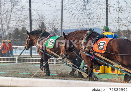 北海道遺産 ばんえい競馬 北海道遺産 ばんえい競馬 75326942