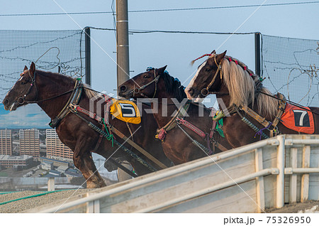 北海道遺産 ばんえい競馬 北海道遺産 ばんえい競馬 75326950