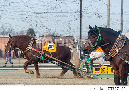 北海道遺産 ばんえい競馬 北海道遺産 ばんえい競馬 75327102
