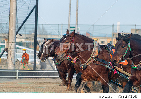 北海道遺産 ばんえい競馬 北海道遺産 ばんえい競馬 75327109