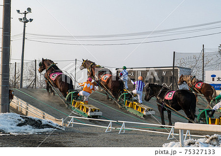北海道遺産　ばんえい競馬 75327133